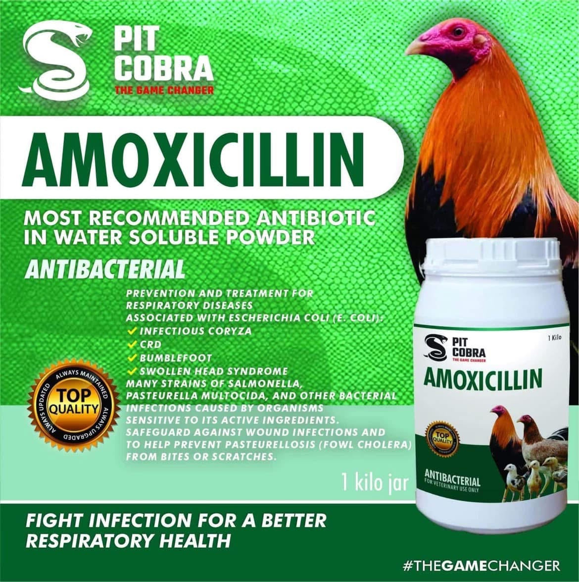 Pit Cobra Amoxicillin Jar (500g)
