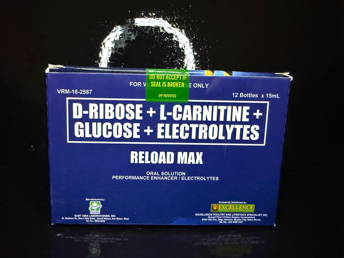 Excellence Reload Max Full Case (12 Bottles x 15ml)