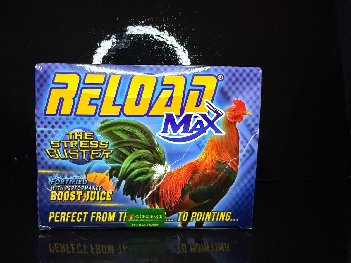 Excellence Reload Max Full Case (12 Bottles x 15ml)