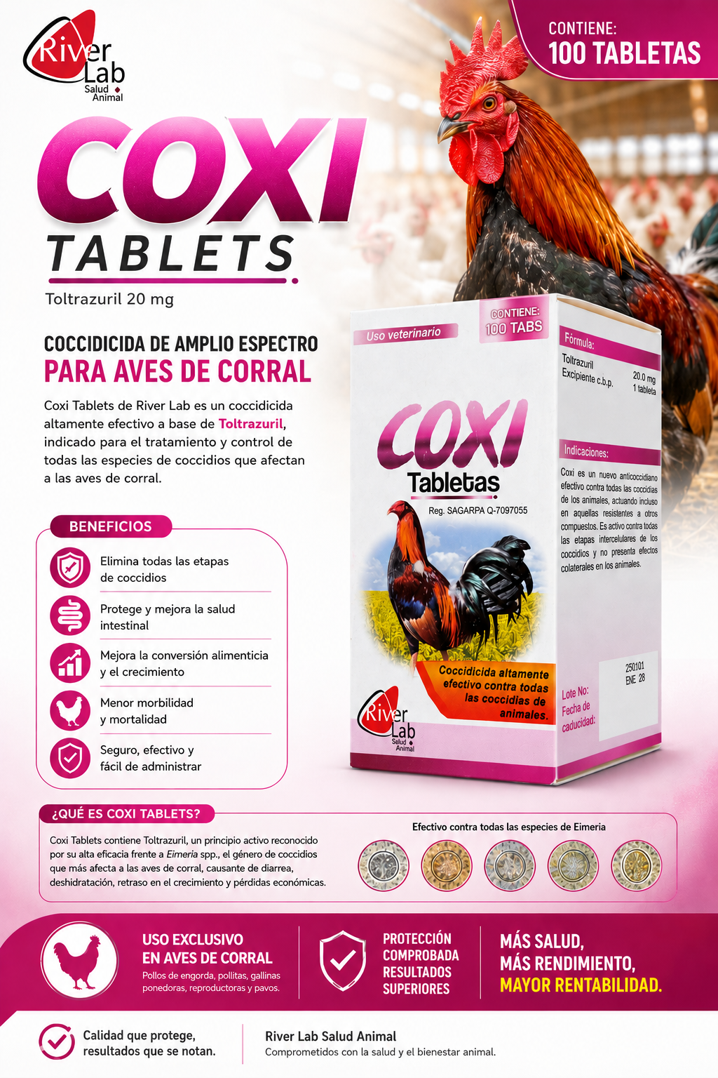 River Lab Coxi (100 Tablets)