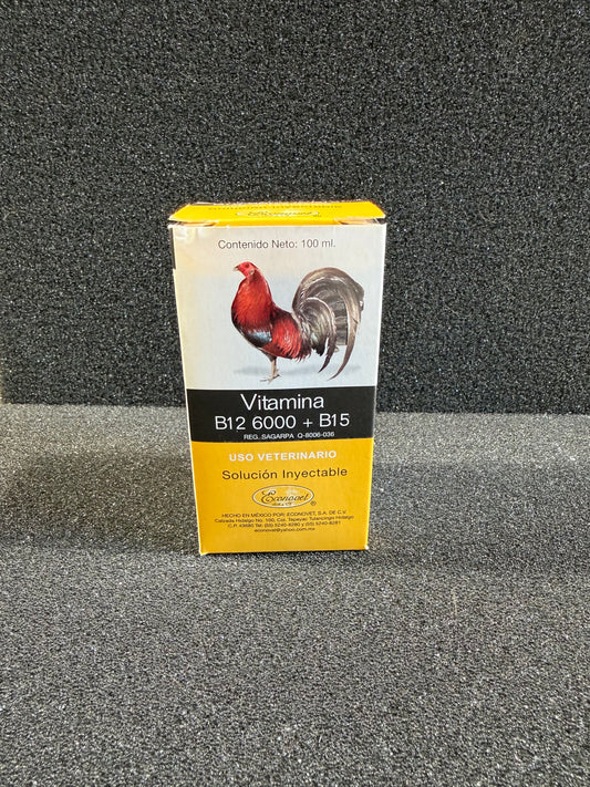 Econovet Vitamina B12 6000+B15 (100ml)